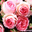 Mini Eden Rose&reg;