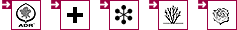 Symbole in der Detailansicht