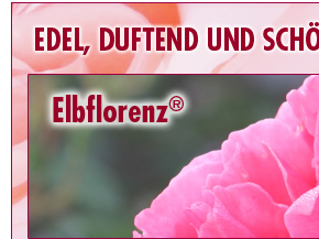 Elbflorenz